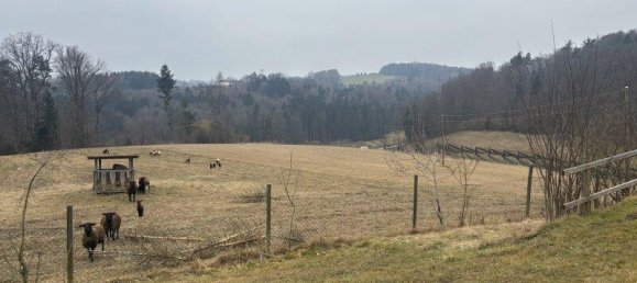 4غرفة قطعة أرض في Eggersdorf bei Graz, Austria رقم 220383 20