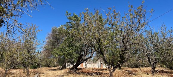 6غرفة منزل في San Vito dei Normanni, Italy رقم 290466 28