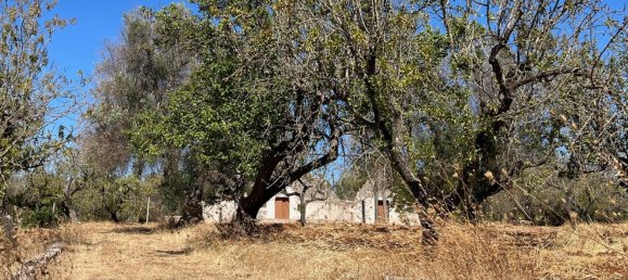 6غرفة منزل في San Vito dei Normanni, Italy رقم 290466 29