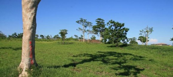 Земельный участок 1500м² в Порт-Вила, Вануату № 148 3