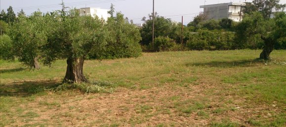 4589m² Hotel in Chalkidiki, Greece No. 7966 3