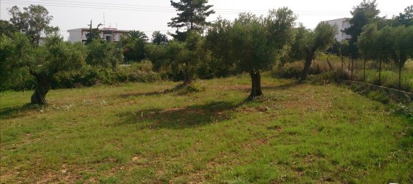 4589m² Hotel in Chalkidiki, Greece No. 7966 5