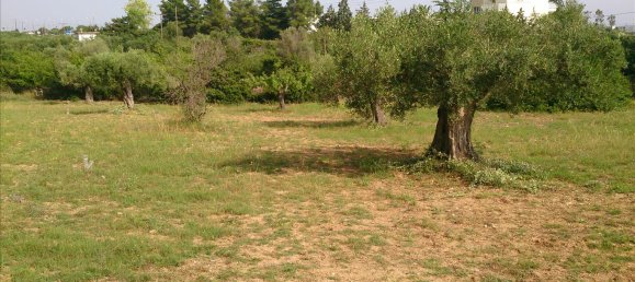 4589m² Hotel in Chalkidiki, Greece No. 7966 4