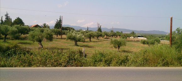 4589m² Hotel in Chalkidiki, Greece No. 7966 6