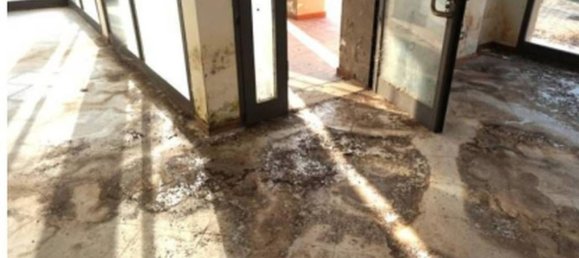 Propiedad comercial en Gonzaga, Italy 254 m² No. 265661 9