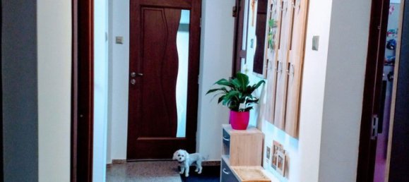 5 rooms House in Altheim, Austria No. 241585 39