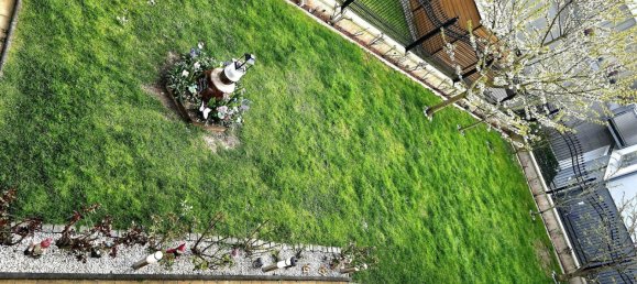 5 rooms House in Altheim, Austria No. 241585 16