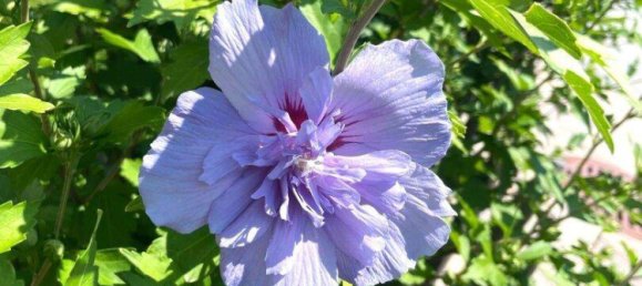 4 rooms Duplex in Zell am See, Austria No. 234293 22