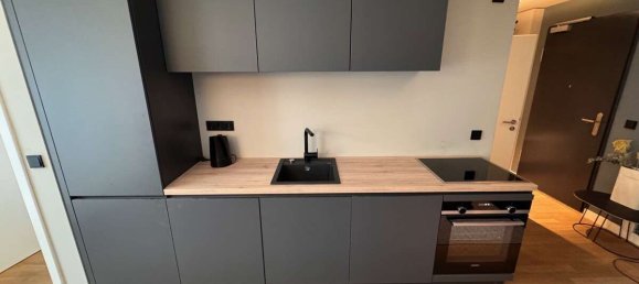 1 chambre Appartement à Mitte, Germany No. 371760 28