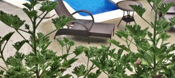 Дом с 5 спальнями в Сьюдад Кесада, Испания № 183653 40