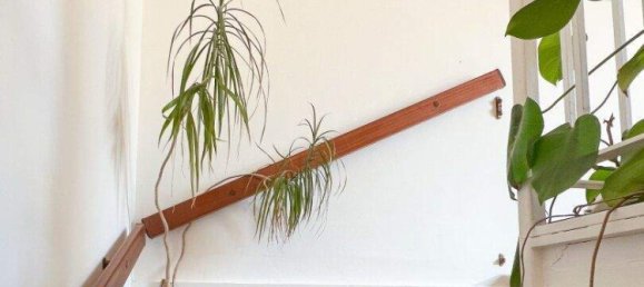 5-salle Maison de ville à Traiskirchen, Austria No. 209652 14