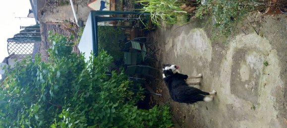 Moradia em banda T3 em Nemours, France N.º 180982 9