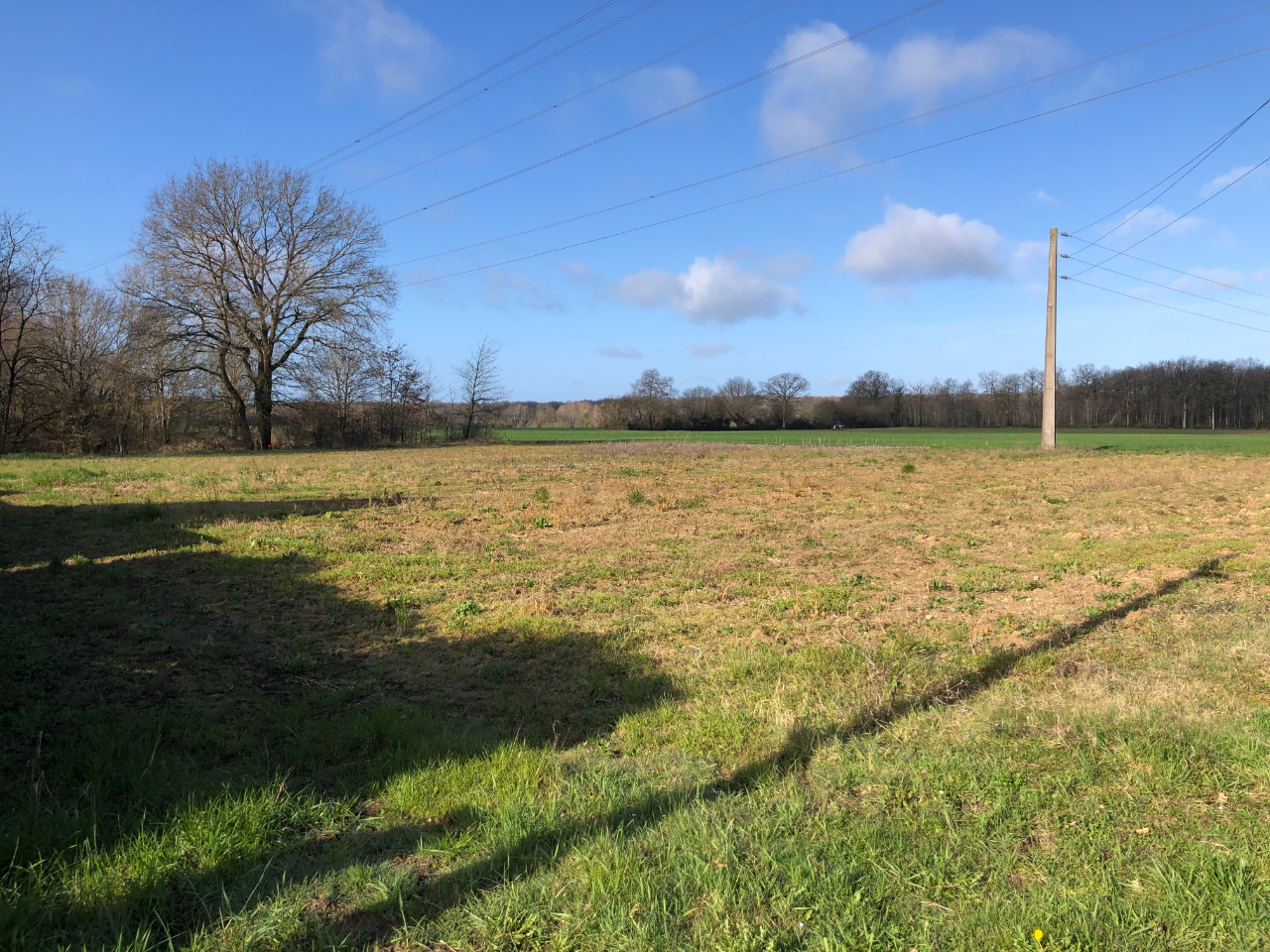 Terreno en Semblancay, France 1486 m² No. 92511