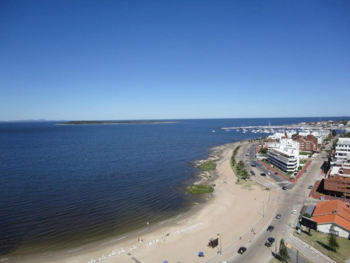 4 غرف نوم شقة في Maldonado, Uruguay رقم 3586