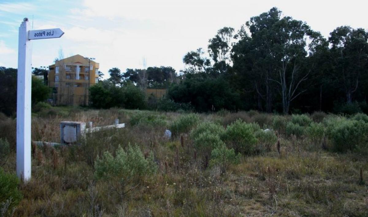 Земельный участок в Мальдонадо, Уругвай № 15999