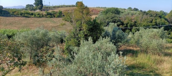 11 rooms Villa in Roccastrada, Italy No. 254593 9