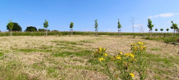 Grundstück in Pfaffenhofen an der Ilm, Germany, Nr. 325824 2