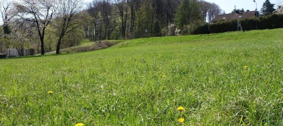  Land in Sieghartskirchen, Austria No. 76260 2