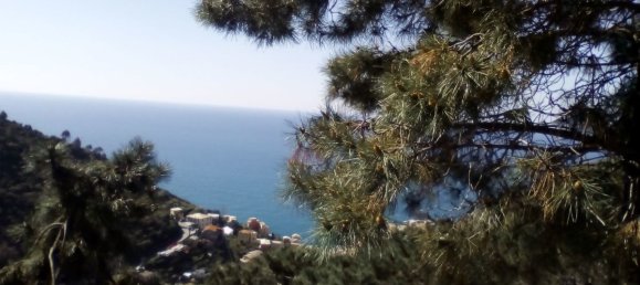 1 bedroom House in Riomaggiore, Italy No. 128886 35