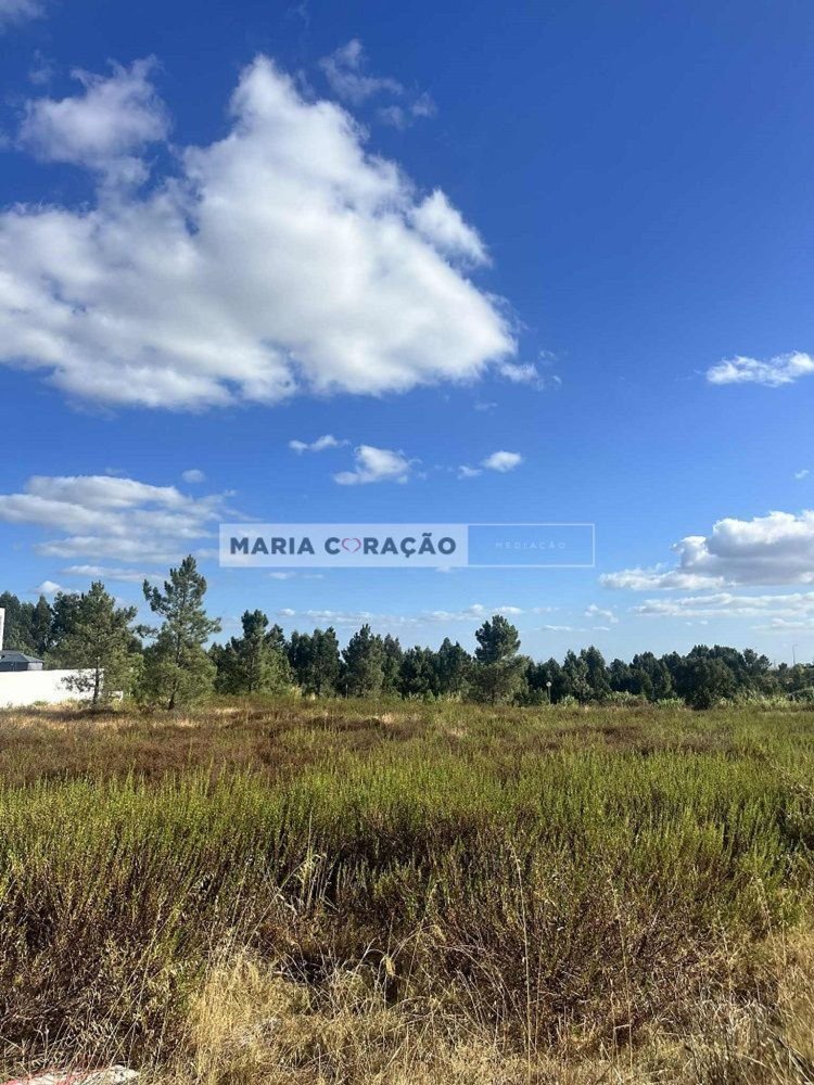 Grundstück in Azambuja, Portugal, Nr. 306725