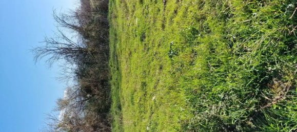 Земельный участок 19074м² в Сичиньяно дельи Альбурни, Италия № 285008 8