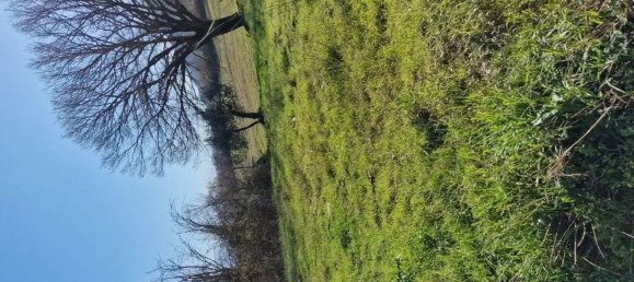 Земельный участок 19074м² в Сичиньяно дельи Альбурни, Италия № 285008 12