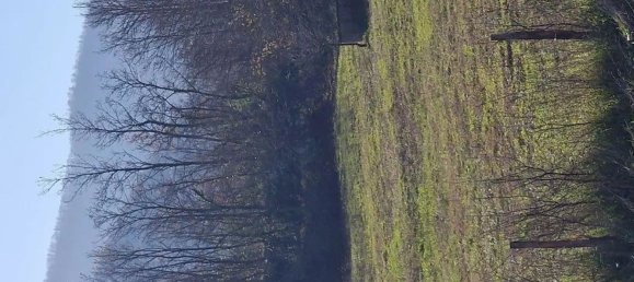 Земельный участок 19074м² в Сичиньяно дельи Альбурни, Италия № 285008 9