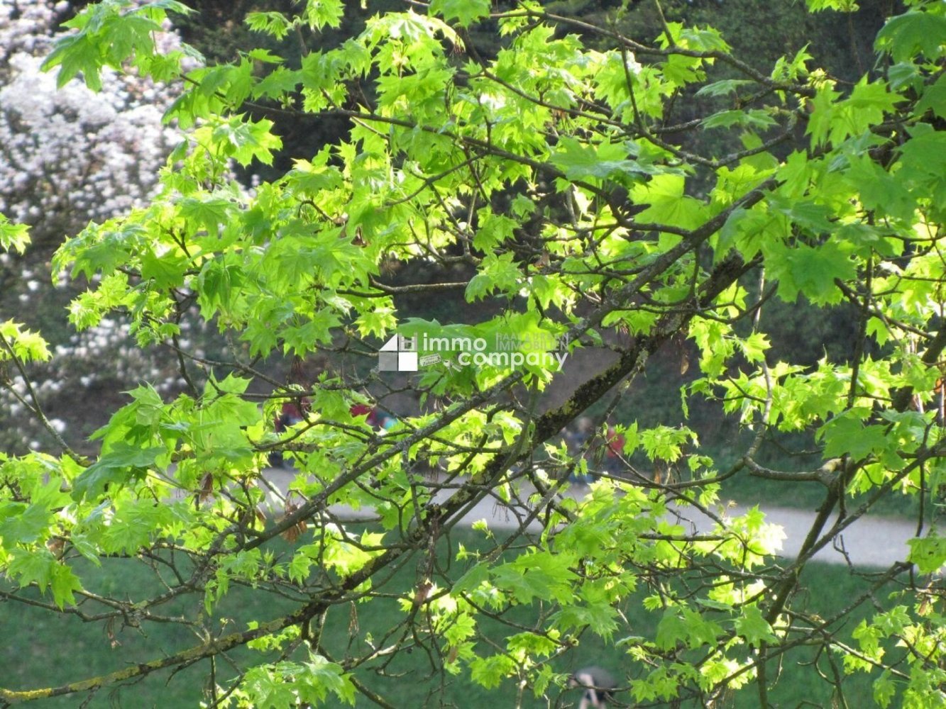 3 rooms Apartment in Linz, Austria No. 52760