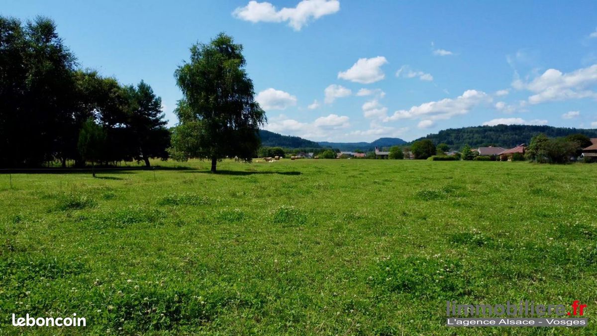 4920m² Land in Saint-Leonard, France No. 251130
