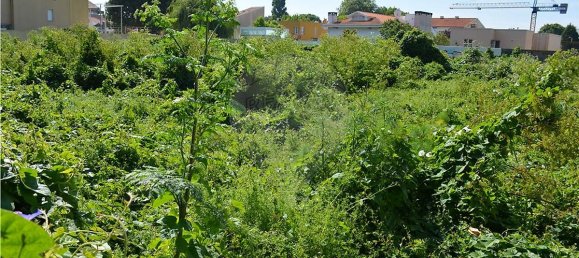 Grundstück in Porto, Portugal 914m², Nr. 35248 2