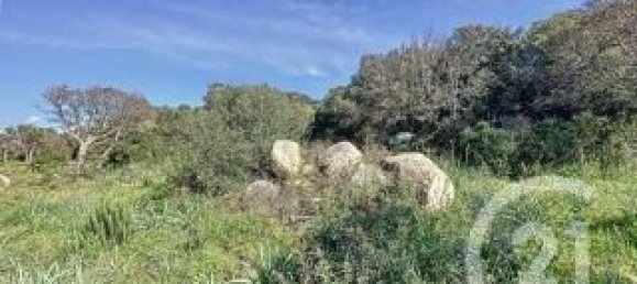 764m² Land in Porto-Vecchio, France No. 77412 4