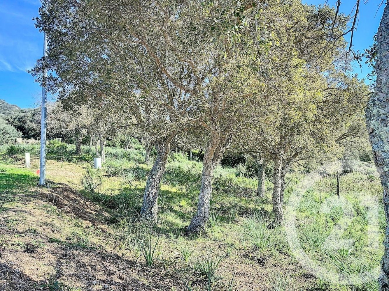764m² Land in Porto-Vecchio, France No. 77412