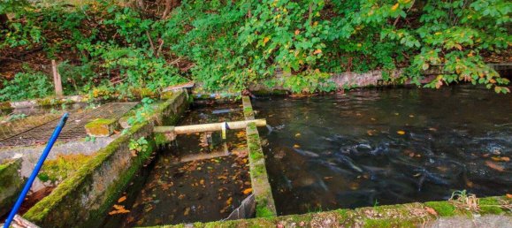 8-salle Maison à Lambach, Austria No. 88217 23