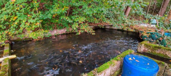 8-salle Maison à Lambach, Austria No. 88217 22