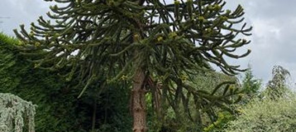 2 bedrooms House in Lens, France No. 315465 17