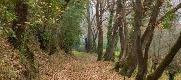 12 rooms House in Arezzo, Italy No. 226381 18