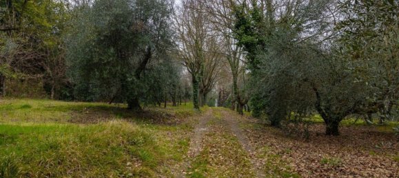 12 rooms House in Arezzo, Italy No. 226381 8