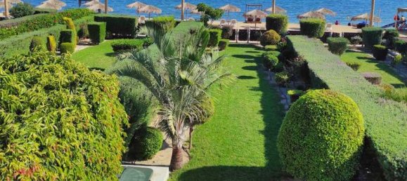 Вилла с 3 спальнями в Мазотос, Кипр № 19899 2