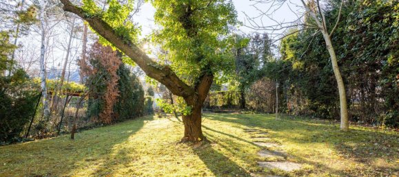 10 rooms Villa in Ottakring, Austria No. 139608 8