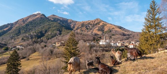 3-salle Maison à Serina, Italy No. 266003 30
