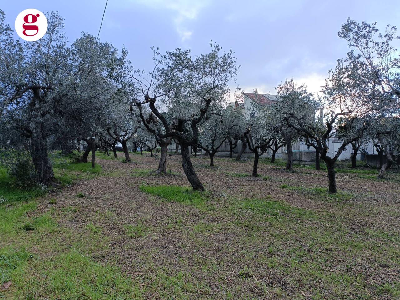 Terreno de 1 divisão em Vasto, Italy N.º 71429