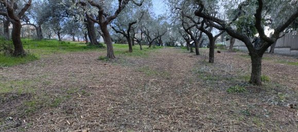 Terreno de 1 divisão em Vasto, Italy N.º 71429 10