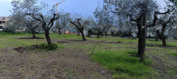 Terreno de 1 divisão em Vasto, Italy N.º 71429 8