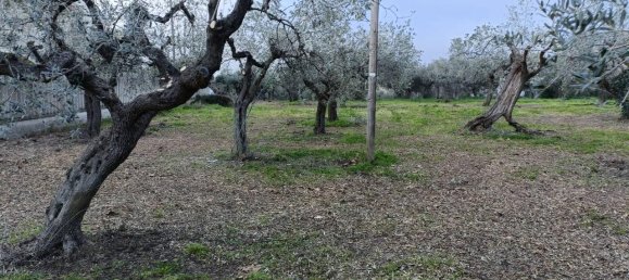 Terreno de 1 divisão em Vasto, Italy N.º 71429 6