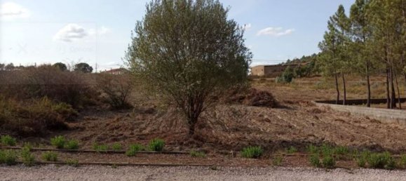  قطعة أرض في Tomar, Portugal 825متر مربع رقم 79585 3