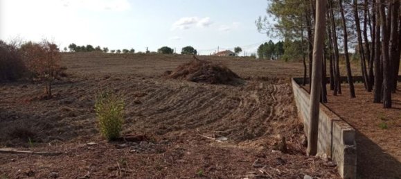  قطعة أرض في Tomar, Portugal 825متر مربع رقم 79585 10