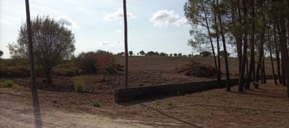  قطعة أرض في Tomar, Portugal 825متر مربع رقم 79585 6