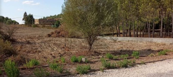  قطعة أرض في Tomar, Portugal 825متر مربع رقم 79585 4