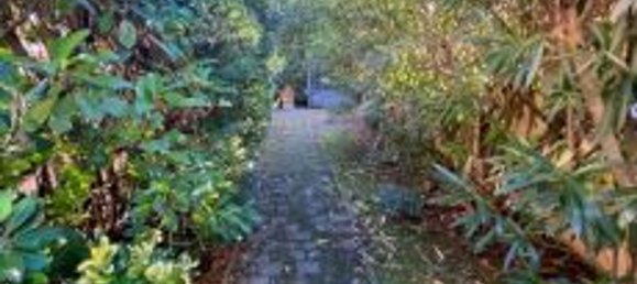 11 rooms House in Pietrasanta, Italy No. 197039 12