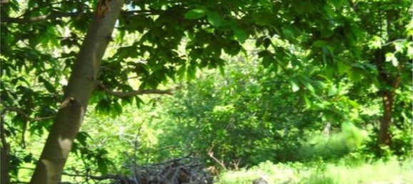 1 bedroom Apartment in Cumiana, Italy No. 381554 30